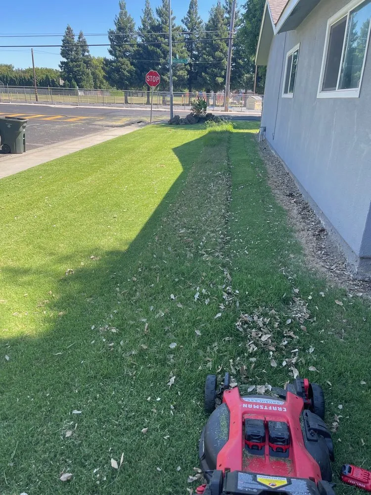 Custom garden landscaping in Modesto, CA - Sergeant Green's Landscape Services