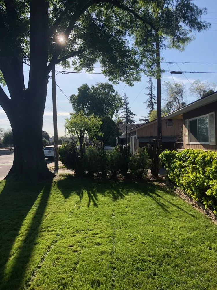 Affordable lawn mowing service in Modesto, CA by Sergeant Green's Landscape Services