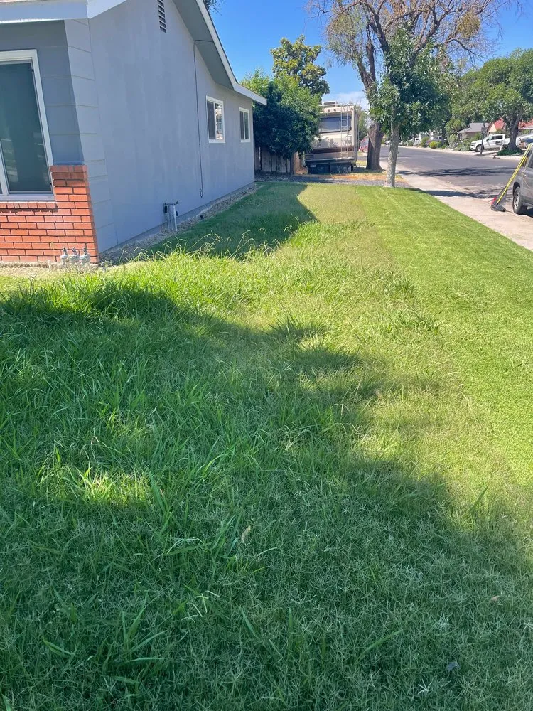 Affordable yard maintenance in Modesto, CA by Sergeant Green's Landscape Services