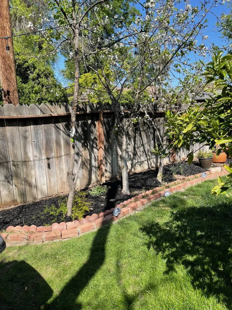 Reliable outdoor landscaping in Modesto, CA by Sergeant Green's Landscape Services