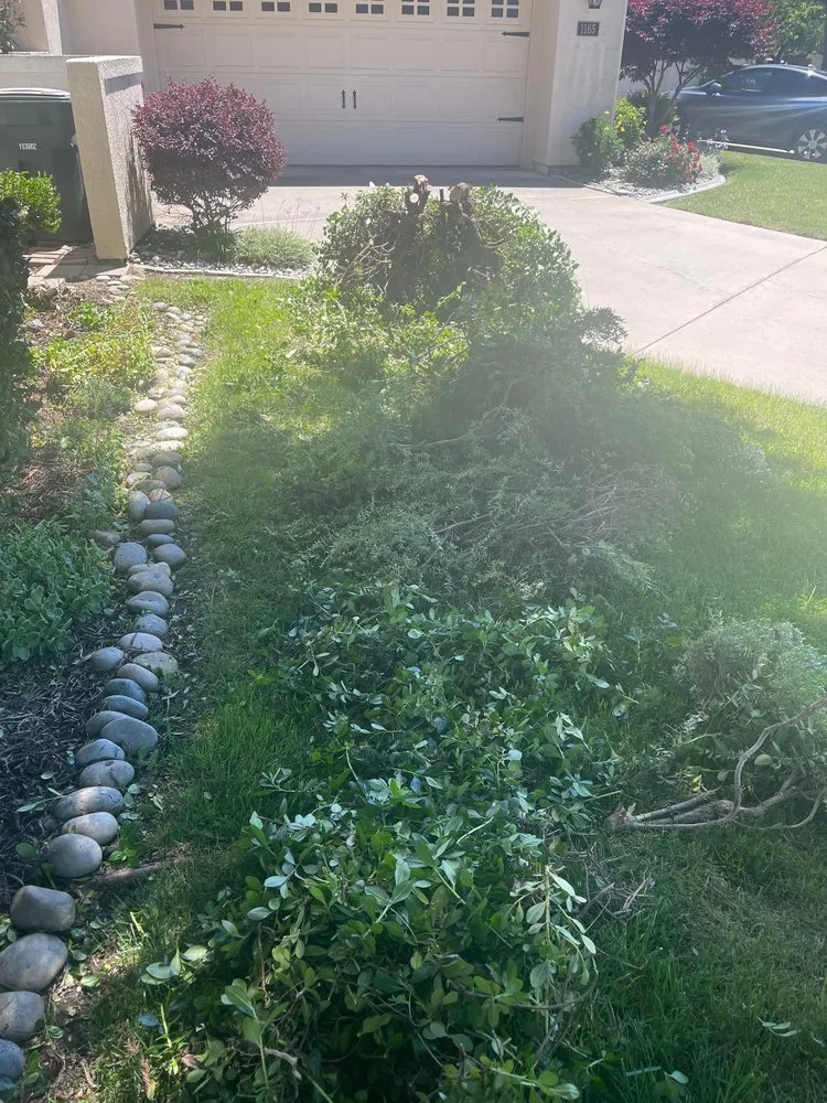 Expert landscaping services in Modesto, CA - Sergeant Green's Landscape Services