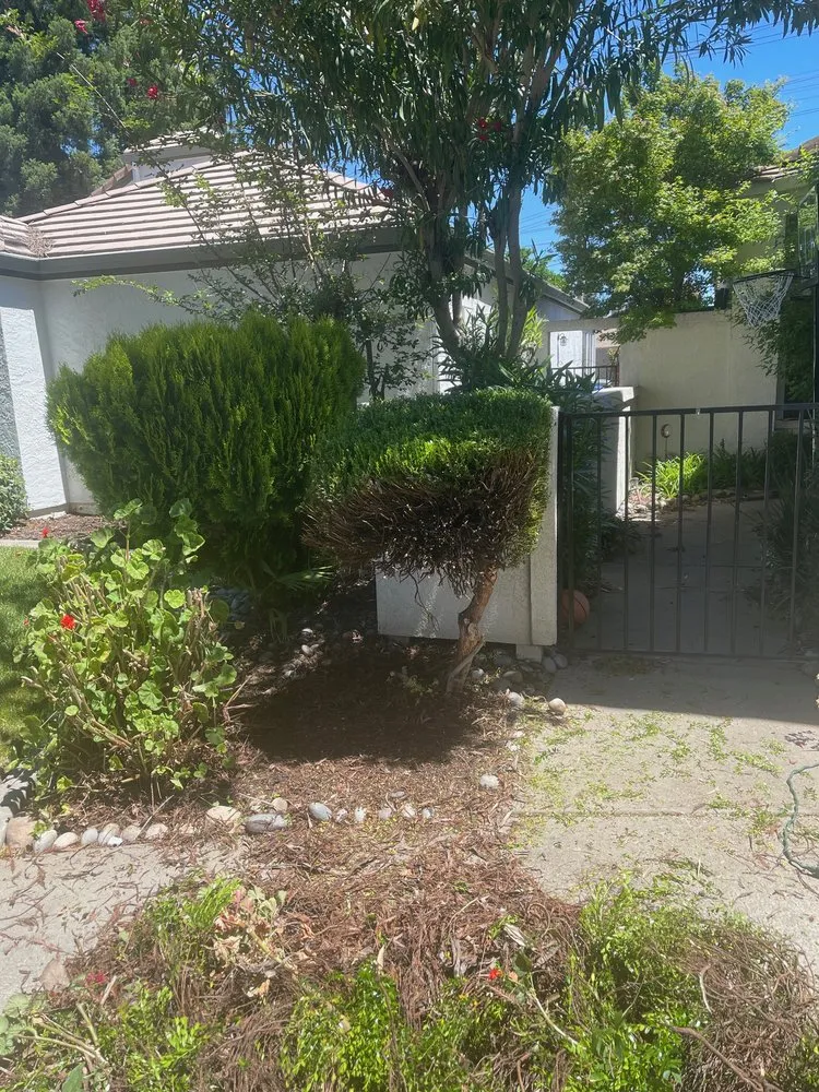 Local outdoor landscaping in Modesto, CA - Sergeant Green's Landscape Services