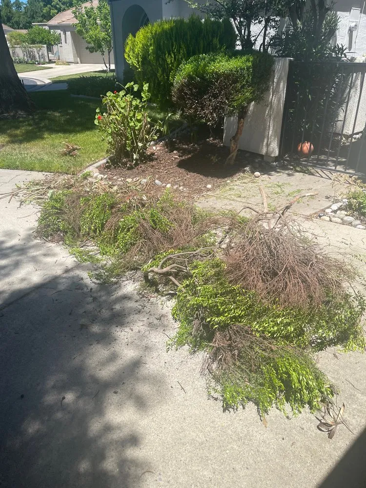 Expert garden landscaping in Modesto, CA by Sergeant Green's Landscape Services