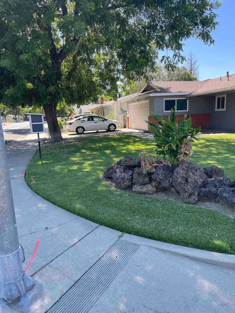 Expert yard cleanup service experts serving Modesto, CA - Sergeant Green's Landscape Services