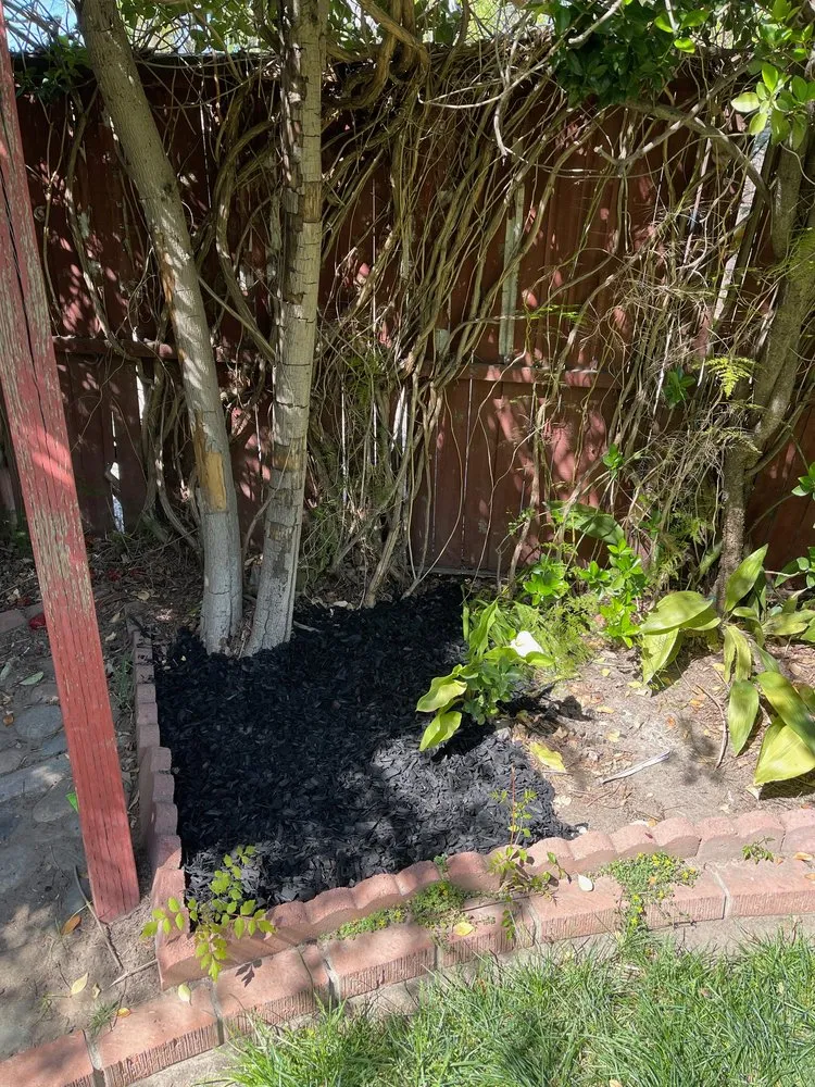 Reliable lawn care service experts serving Modesto, CA - Sergeant Green's Landscape Services