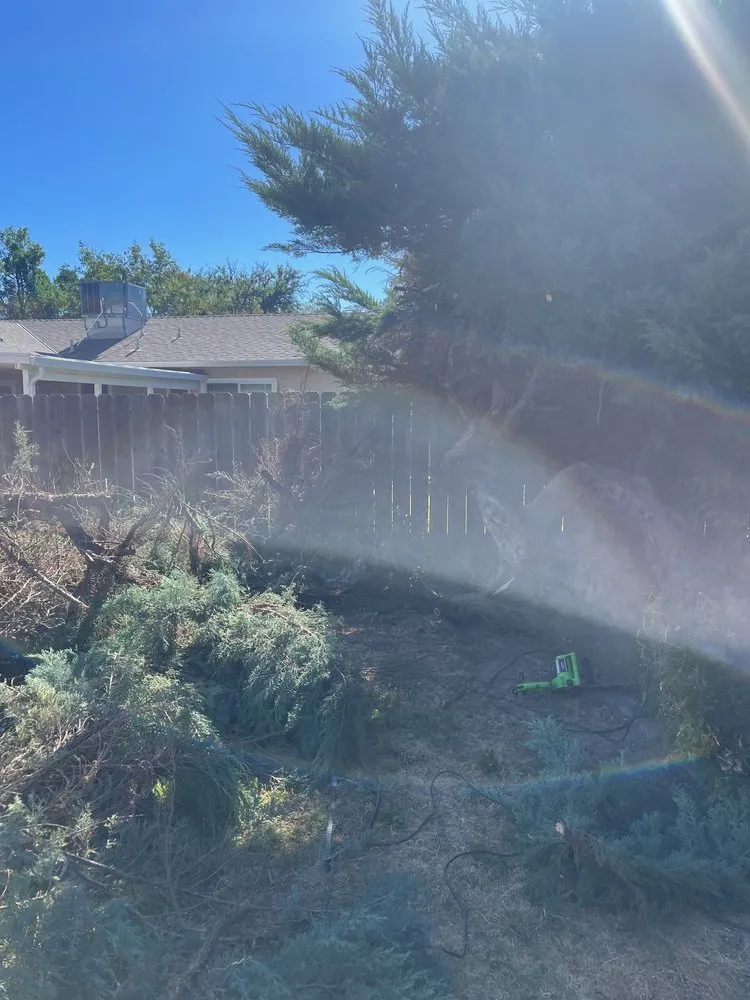 Expert landscape design experts serving Modesto, CA - Sergeant Green's Landscape Services