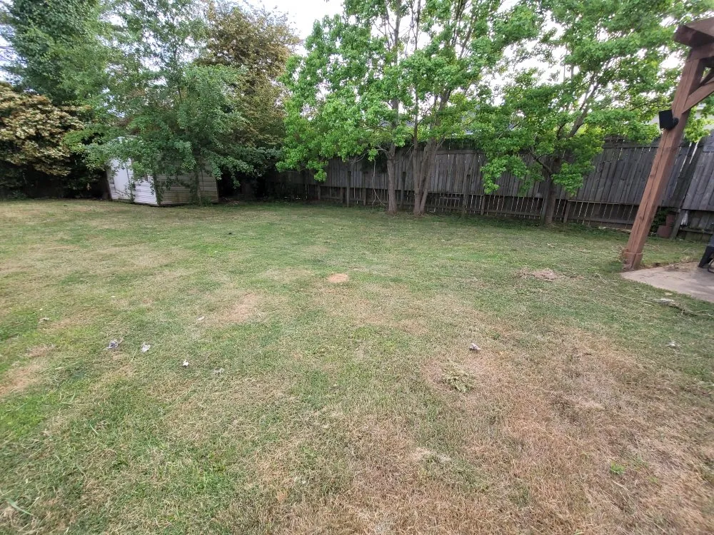 Affordable lawn care service in Columbus, GA by Sergeant’s Lawn Care