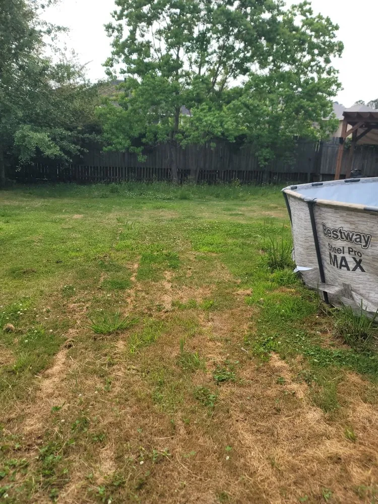 Affordable outdoor landscaping experts serving Columbus, GA - Sergeant’s Lawn Care