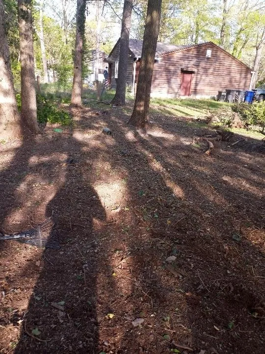 Custom yard cleanup service near you in Lakewood, NJ by Sergio Antonio Landscaping