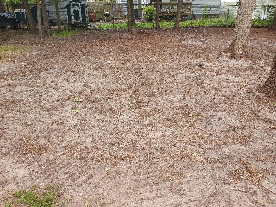 Expert garden landscaping in Lakewood, NJ by Sergio Antonio Landscaping