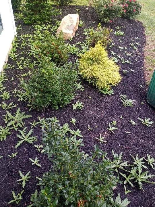 Affordable landscape installation experts serving Lakewood, NJ - Sergio Antonio Landscaping