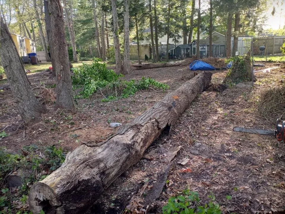 Affordable lawn care service experts serving Lakewood, NJ - Sergio Antonio Landscaping