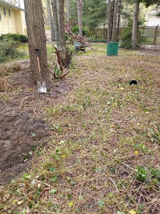 Professional yard cleanup service in Lakewood, NJ - Sergio Antonio Landscaping