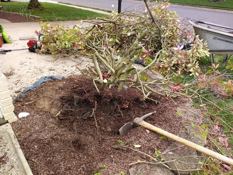 Expert outdoor landscaping in Lakewood, NJ - Sergio Antonio Landscaping
