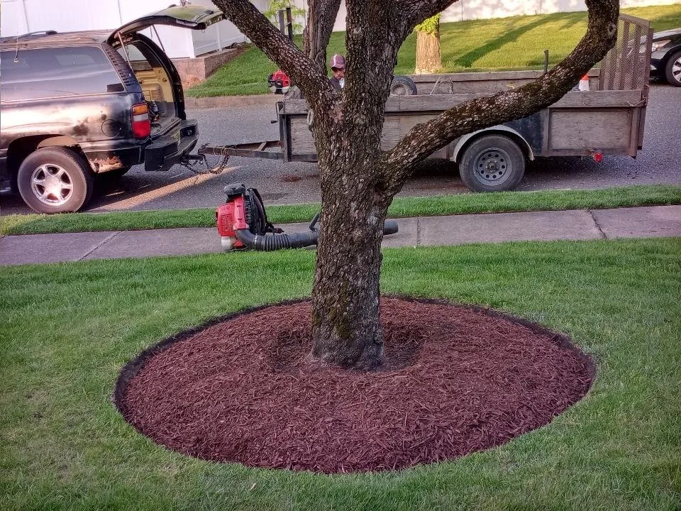 Reliable lawn care service experts serving Lakewood, NJ - Sergio Antonio Landscaping