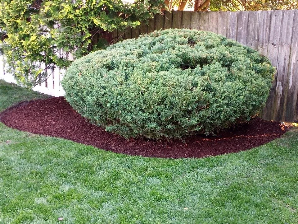 Professional outdoor landscaping in Lakewood, NJ - Sergio Antonio Landscaping