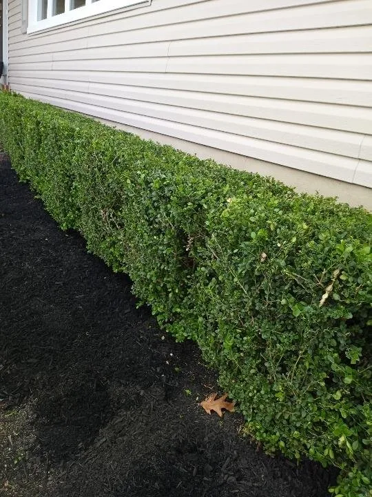 Custom outdoor landscaping experts serving Lakewood, NJ - Sergio Antonio Landscaping