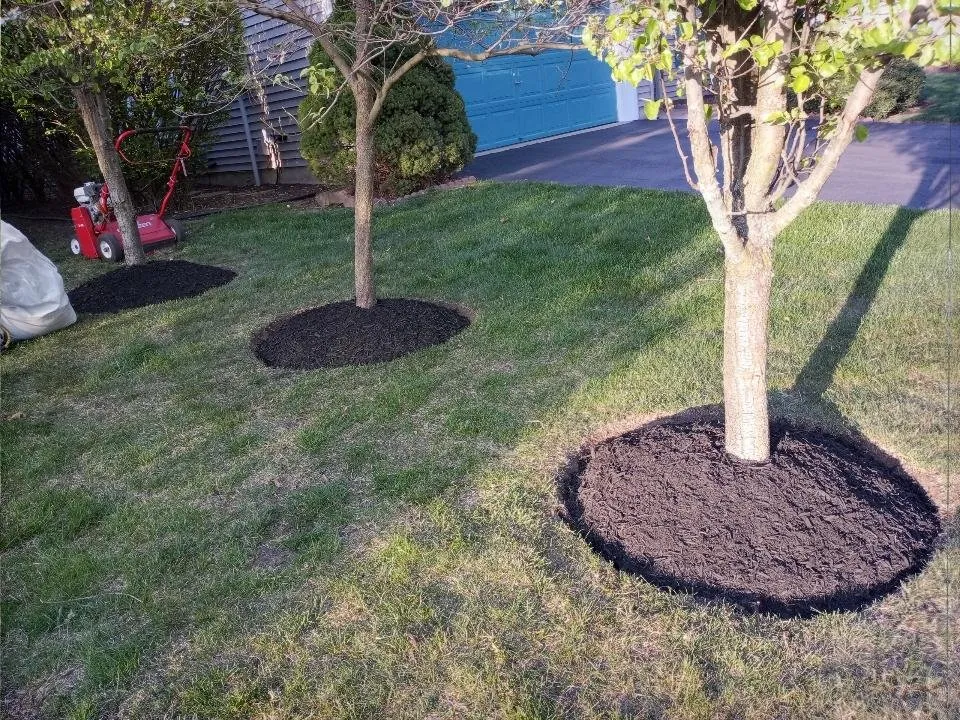 Expert lawn care service in Lakewood, NJ - Sergio Antonio Landscaping