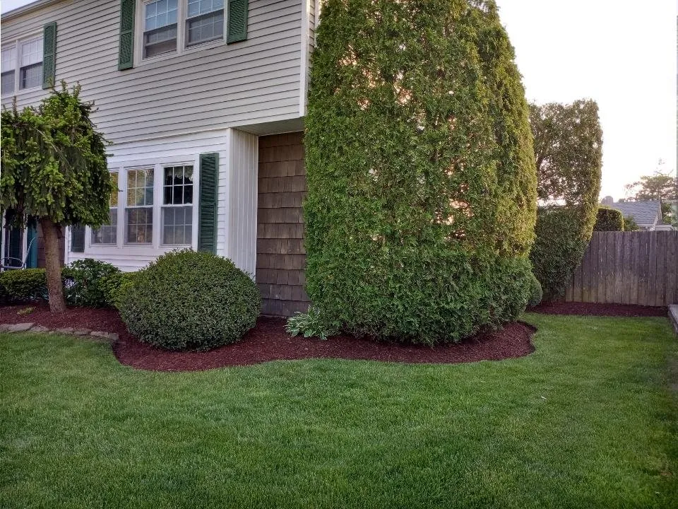 Reliable yard cleanup service with custom design across Lakewood, NJ - Sergio Antonio Landscaping