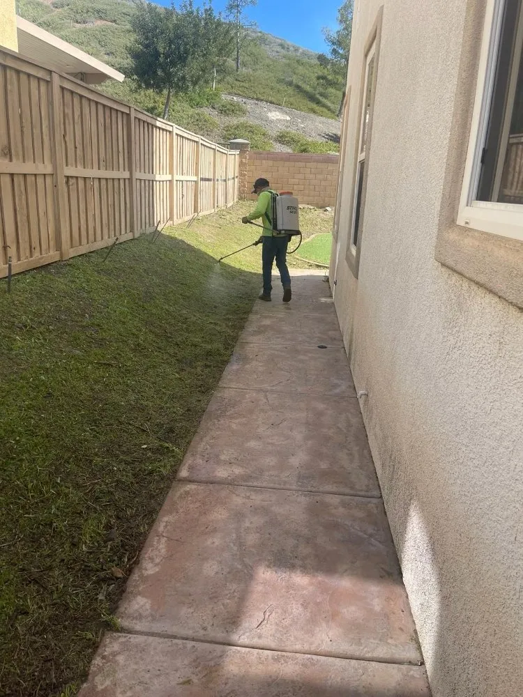 Expert residential landscaping experts serving Lake Elsinore, CA - Sergio Barrios