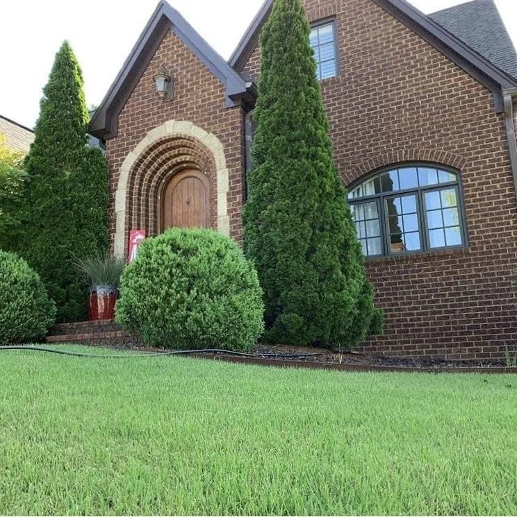 Reliable landscape design with custom design in Birmingham, AL by Sergio Contractor