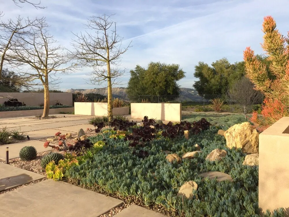 Trusted landscaping services experts serving Los Angeles, CA - Sergio Contreras Landscape