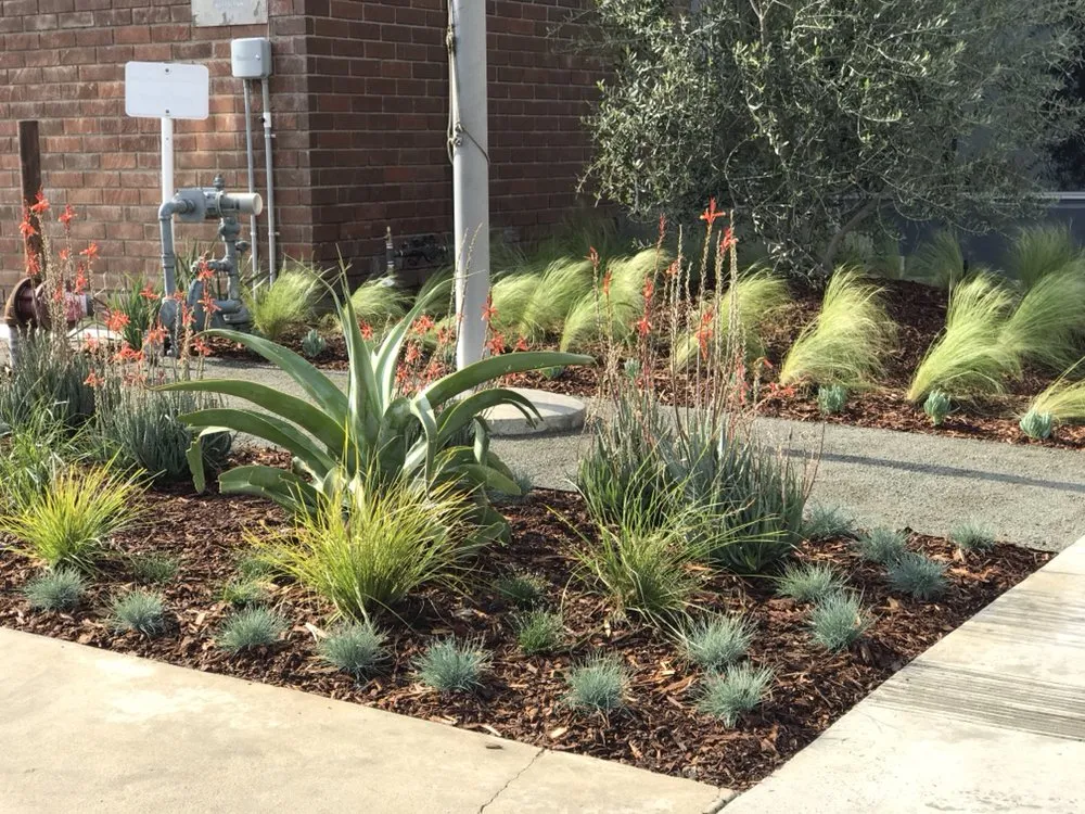 Top-rated garden landscaping in Los Angeles, CA by Sergio Contreras Landscape