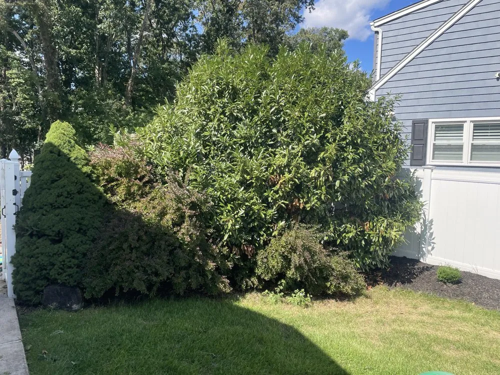 Reliable residential landscaping in Toms River, NJ by Sergio Díaz Landscaping