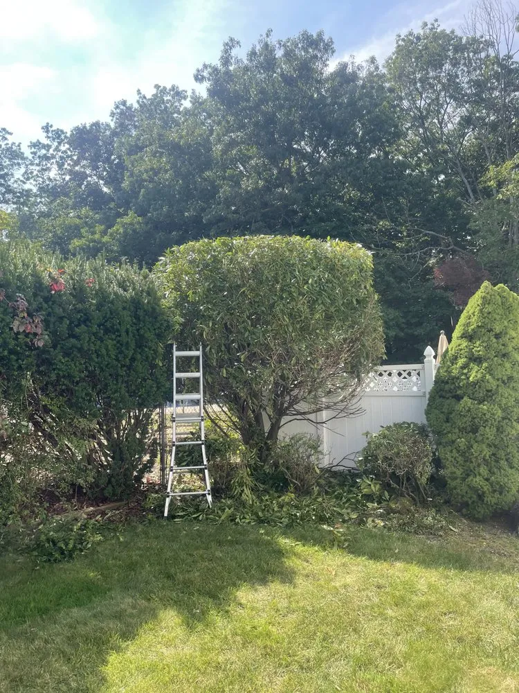 Affordable lawn mowing service for beautiful yards in Toms River, NJ by Sergio Díaz Landscaping