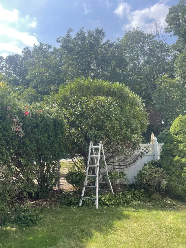 Trusted yard maintenance near you across Toms River, NJ - Sergio Díaz Landscaping