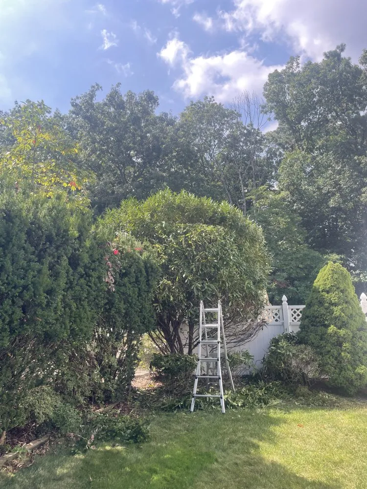 Trusted yard cleanup service experts serving Toms River, NJ - Sergio Díaz Landscaping