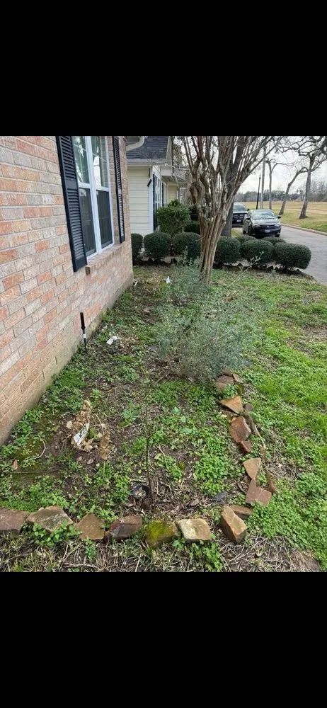 Professional garden landscaping experts serving Houston, TX - Sergio Díaz Lawn Service