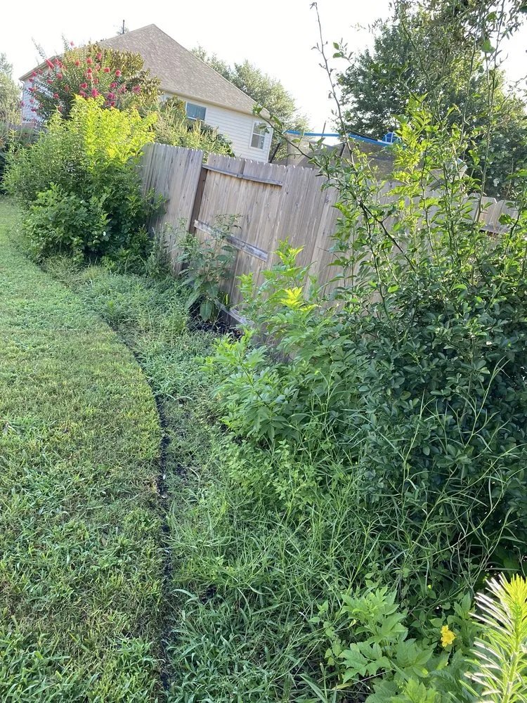 Top-rated yard maintenance in Houston, TX by Sergio Díaz Lawn Service