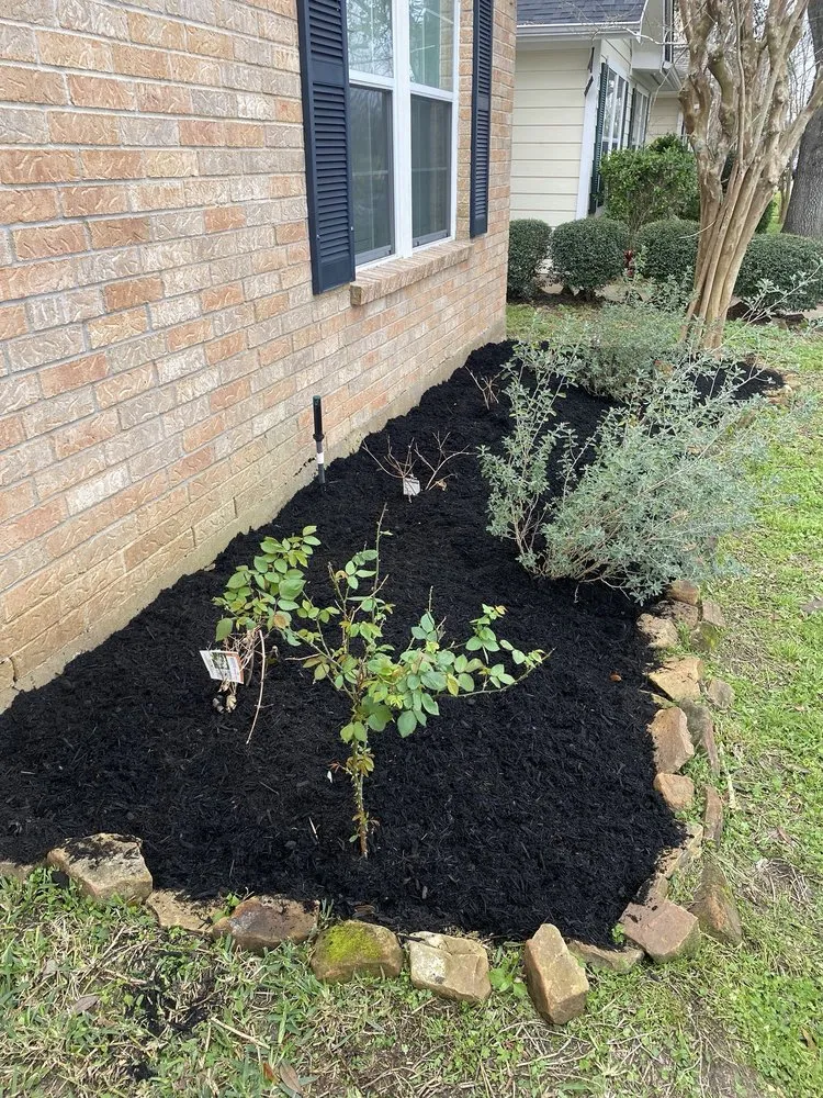 Expert landscaping services in Houston, TX - Sergio Díaz Lawn Service