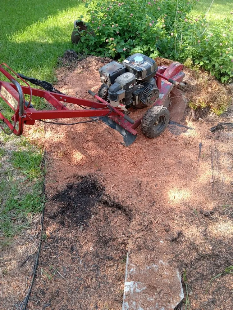 Trusted outdoor landscaping with custom design in Chicago, IL by Sergio E Landscaping