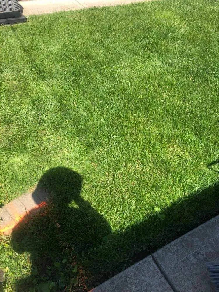 Trusted garden landscaping for beautiful yards in Chicago, IL by Sergio Escobedo Landscaping