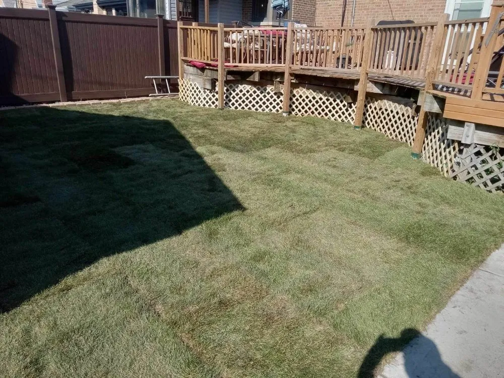 Local yard maintenance for outdoor upgrades across Chicago, IL - Sergio Escobedo Landscaping
