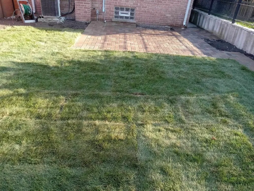 Professional outdoor landscaping for year-round maintenance across Chicago, IL - Sergio Escobedo Landscaping