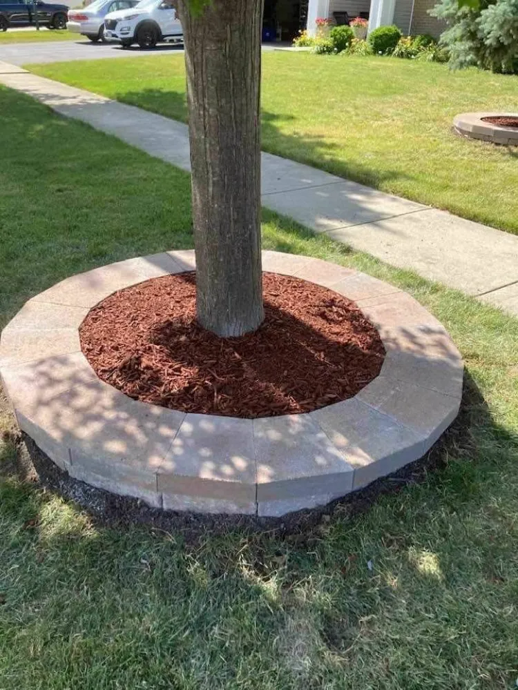 Top-rated yard maintenance in Chicago, IL by Sergio Escobedo Landscaping