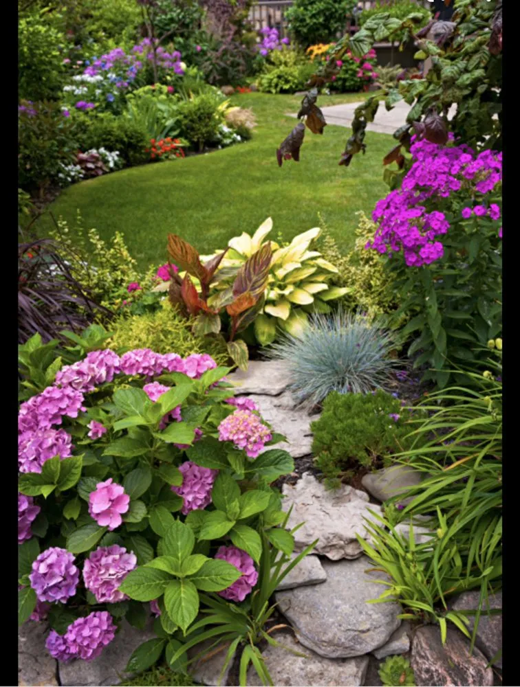 Local lawn care service in Bay Point, CA by Sergio gardening service