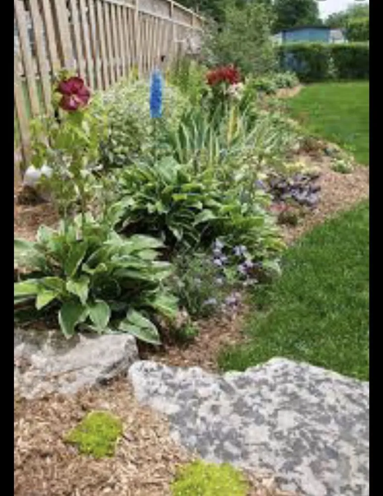 Local yard cleanup service for year-round maintenance across Bay Point, CA - Sergio gardening service