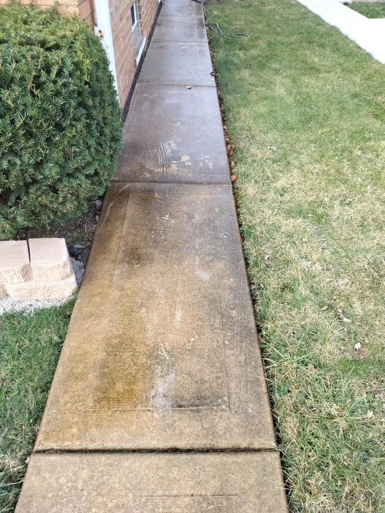 Trusted lawn mowing service in West Chicago, IL by Sergio Handyman