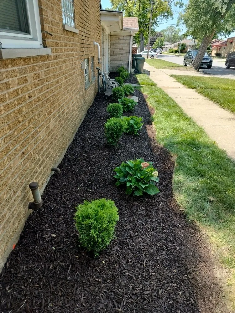 Local yard cleanup service experts serving West Chicago, IL - Sergio Handyman