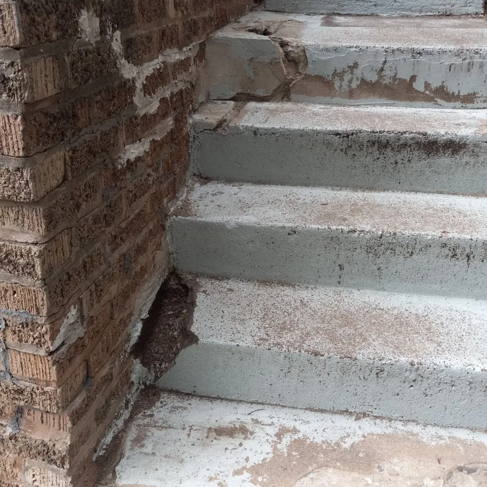 Custom yard maintenance for beautiful yards in West Chicago, IL by Sergio Handyman