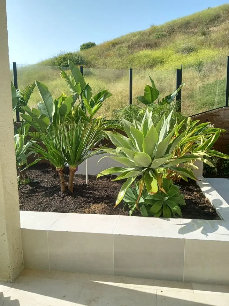 Top-rated lawn care service experts serving Placentia, CA - Sergio Land Scaping