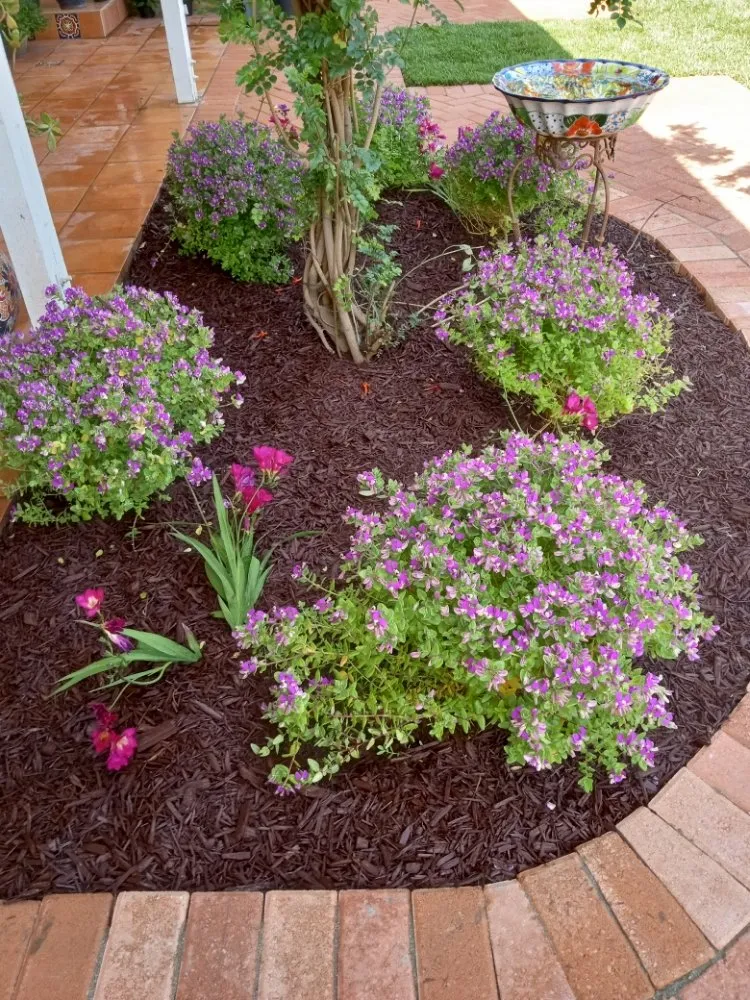 Custom residential landscaping in Placentia, CA by Sergio Land Scaping