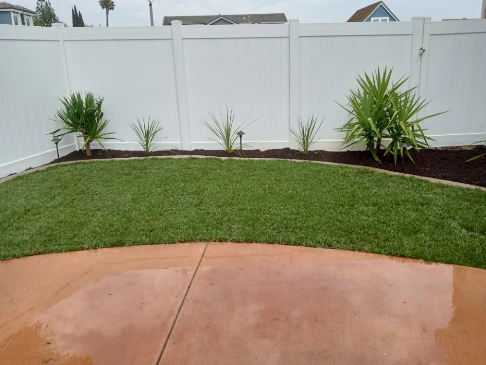 Affordable landscape installation in Placentia, CA by Sergio Land Scaping