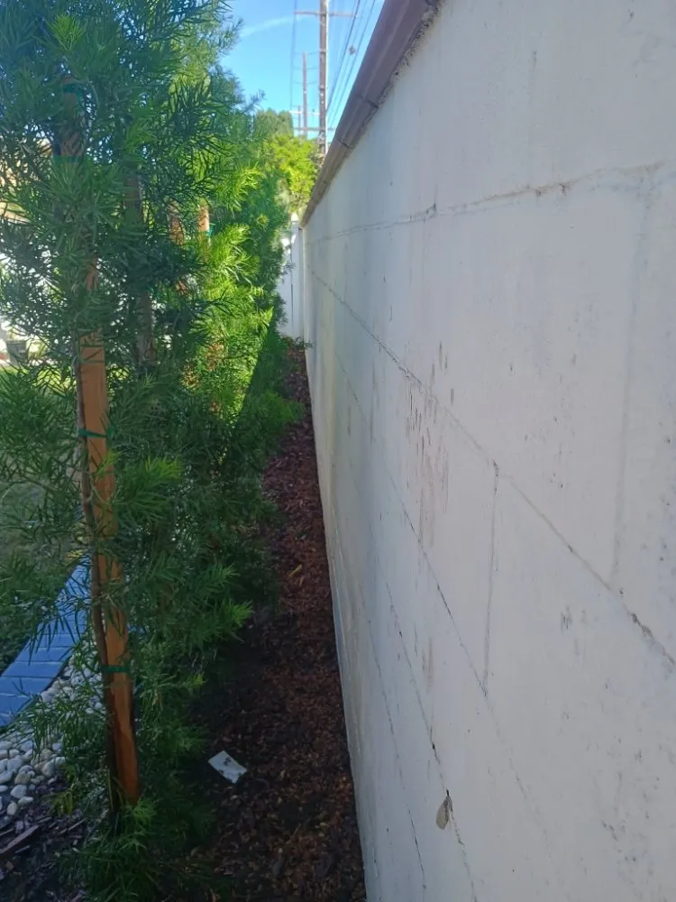 Custom landscape design in Placentia, CA - Sergio Land Scaping