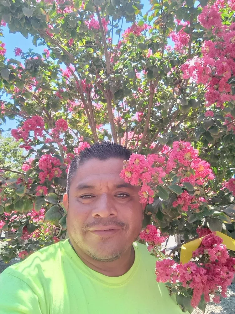 Custom garden landscaping in Placentia, CA - Sergio Land Scaping