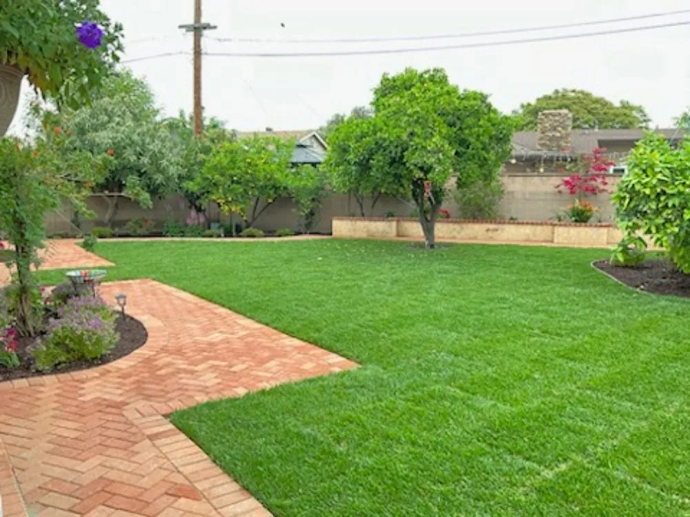 Reliable yard cleanup service experts serving Placentia, CA - Sergio Land Scaping